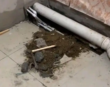 鸡西市卫生间漏水检测哪家好
