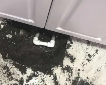 鸡西市查漏水哪家好