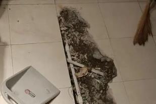 鸡西市卫生间漏水检测电话